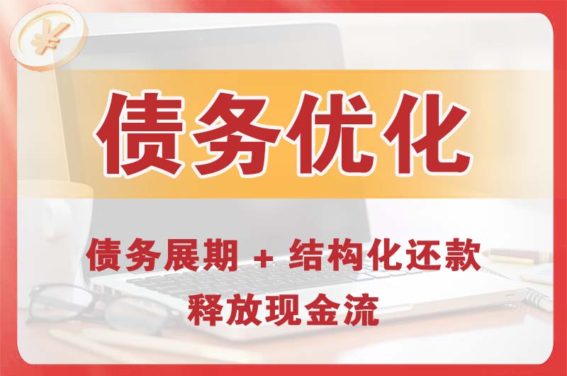 天峨债务优化