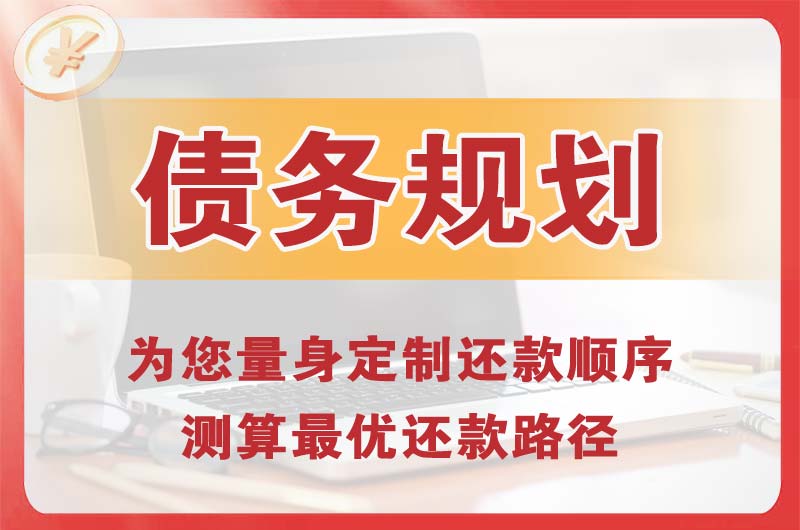 天峨债务规划